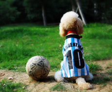 建筑机械行业发展现状与趋势